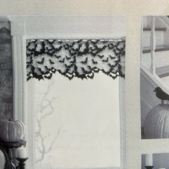 Going Batty window, doorway w rod slot. - Picture 4 of 6